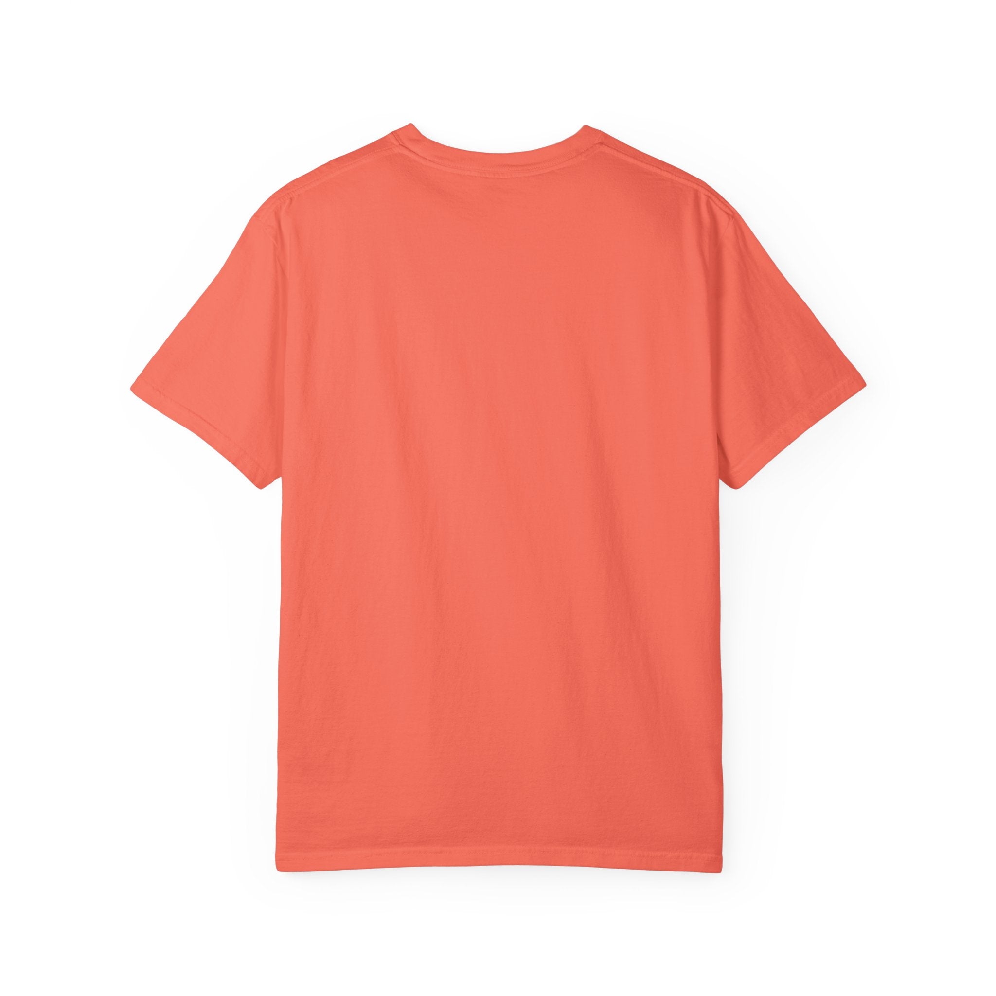 121.5 ELT Inspection Frequency T-Shirt