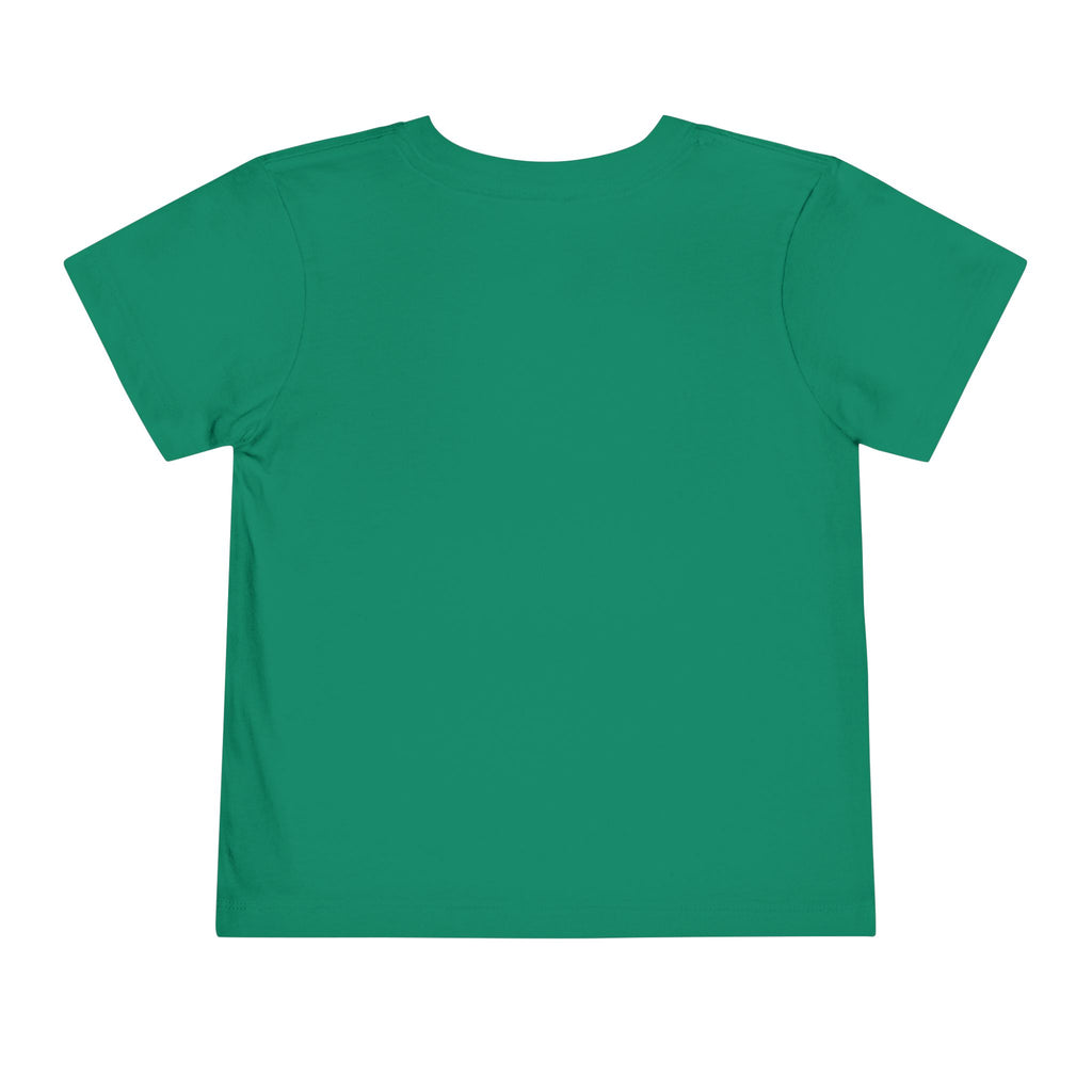 Toddler Tee — Mountain Airplane Design (custom name)