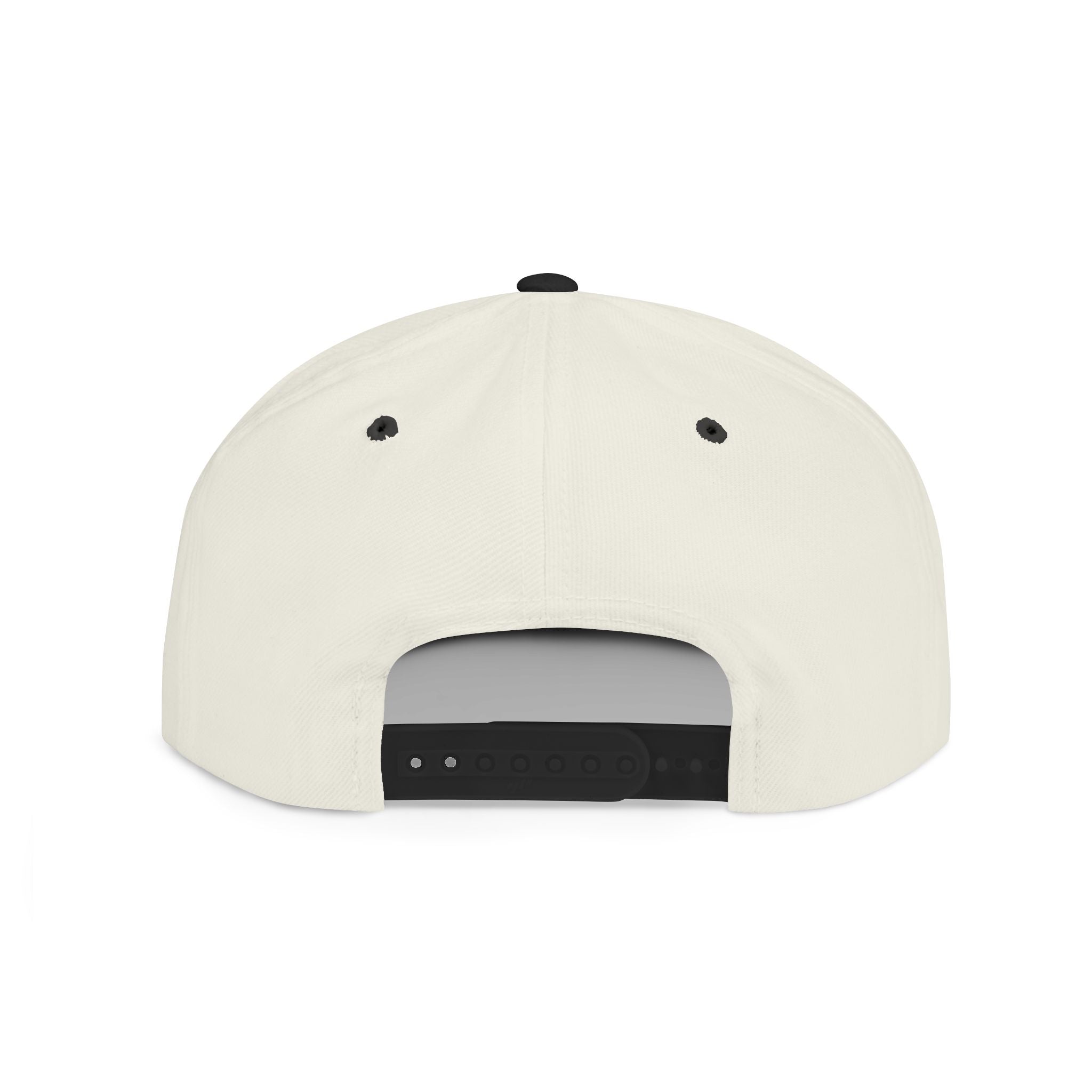91.205 Snapback Flat Bill Hat