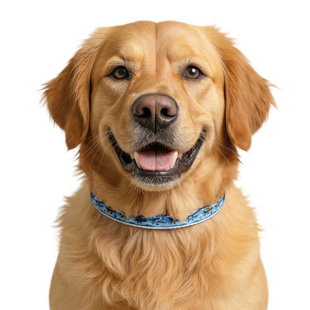 Airplane Pattern - Pet Collar