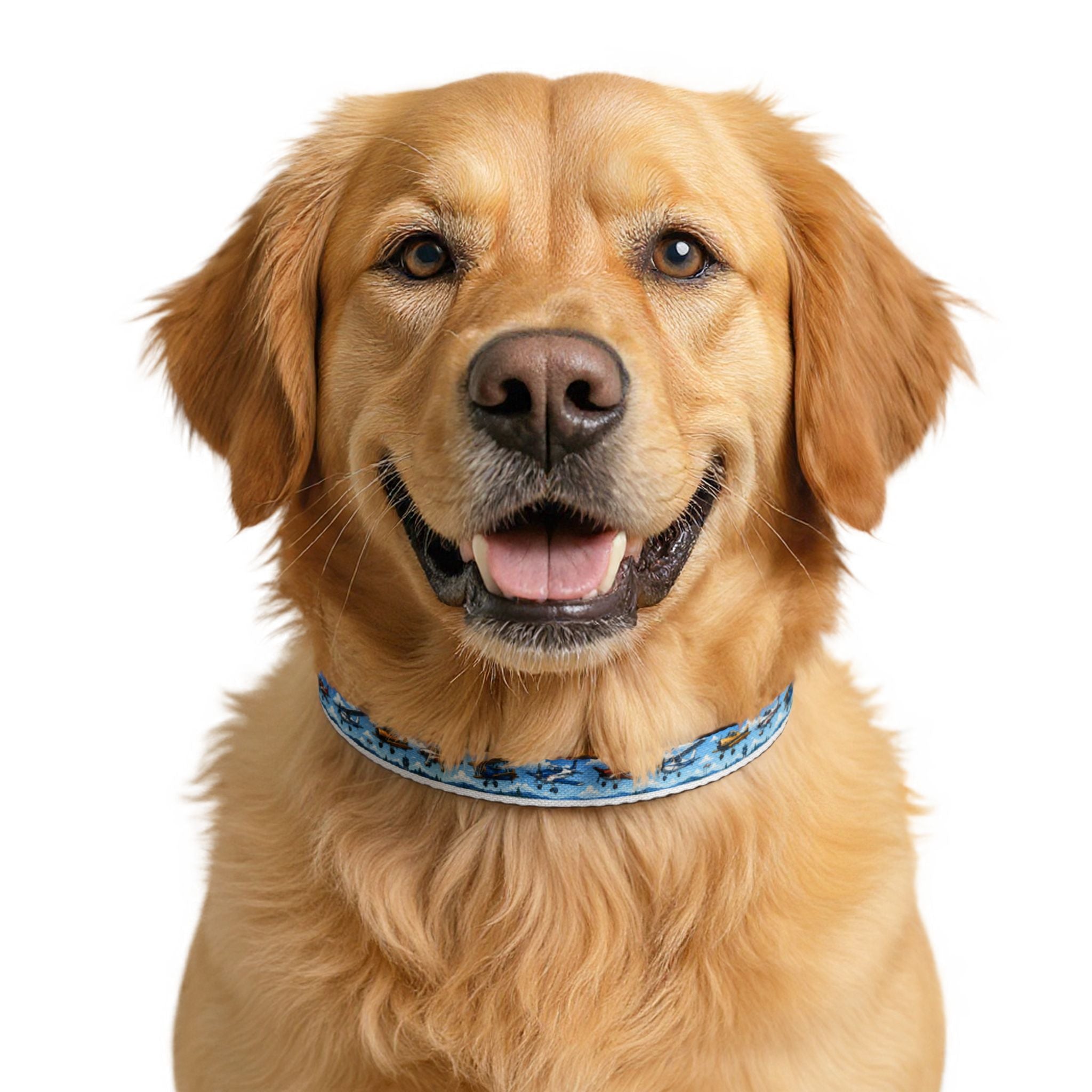 Airplane Pattern - Pet Collar