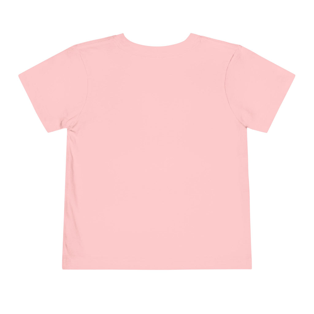 Toddler Tee — Mountain Plane Design (custom name)