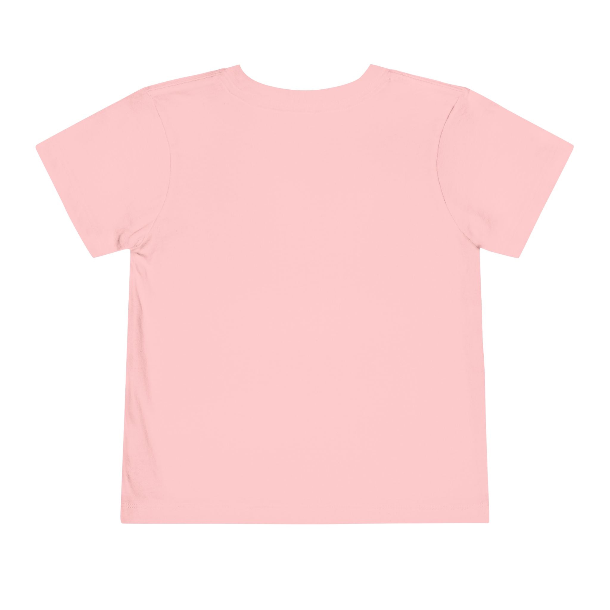 Toddler Tee — Mountain Plane Design (custom name)