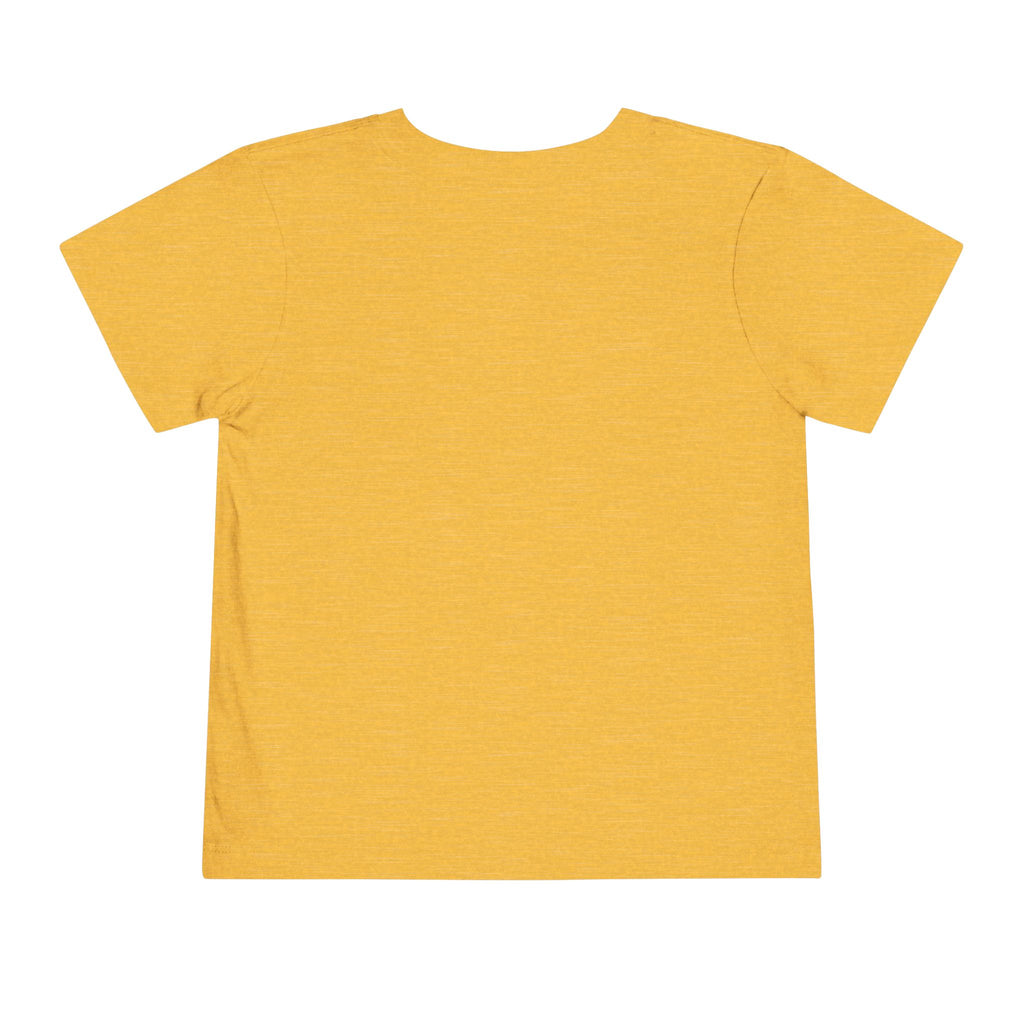 Toddler Tee — Mountain Airplane Design (custom name)