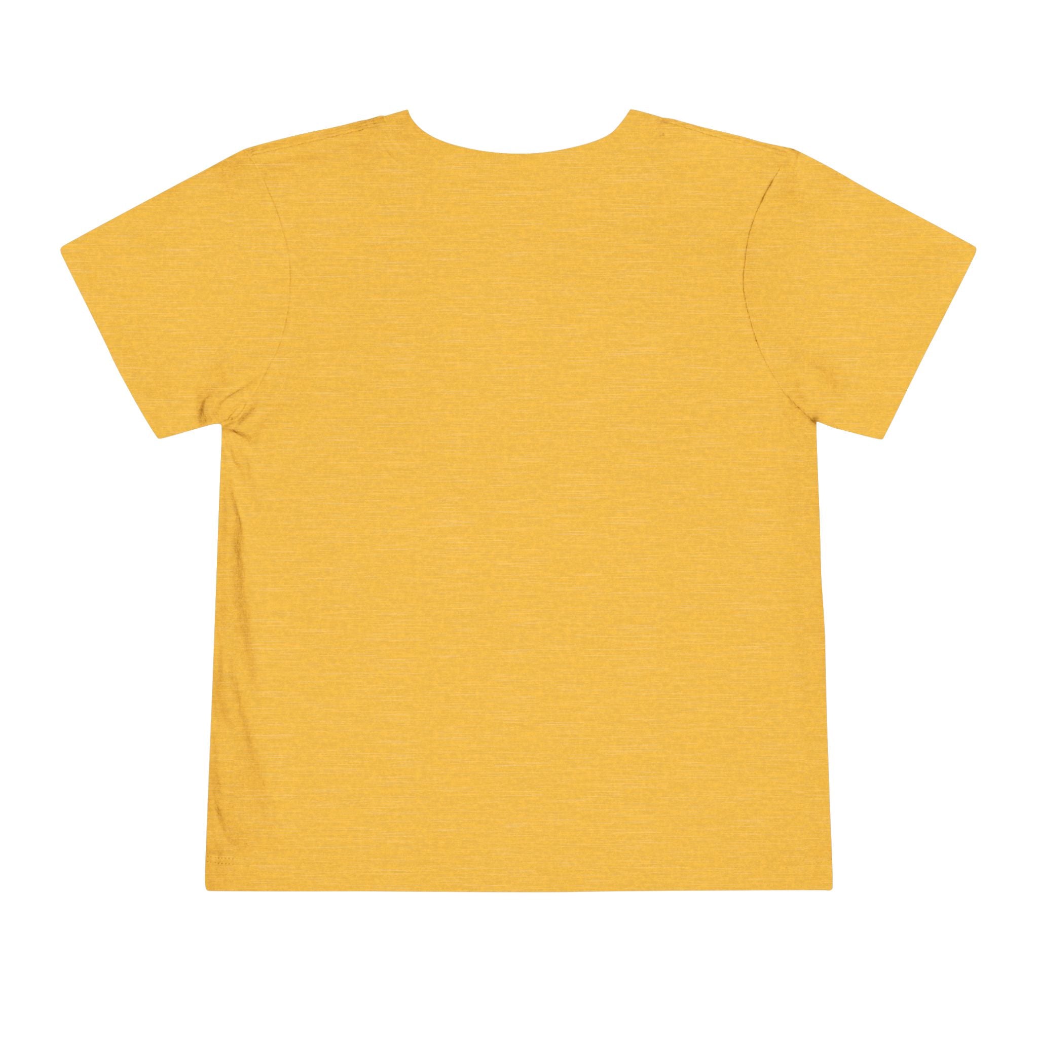 Toddler Tee — Mountain Airplane Design (custom name)