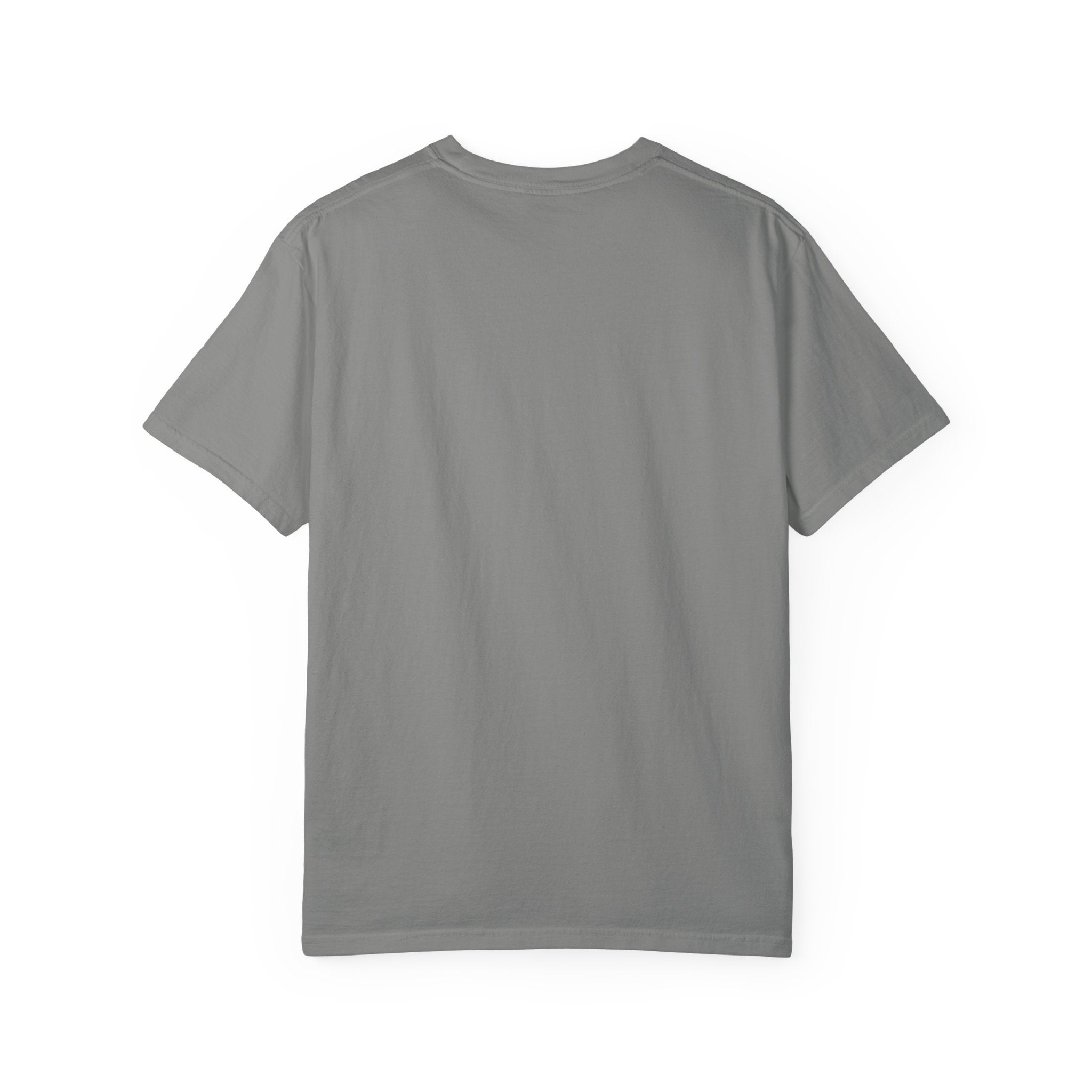 FAA Fooled T-Shirt