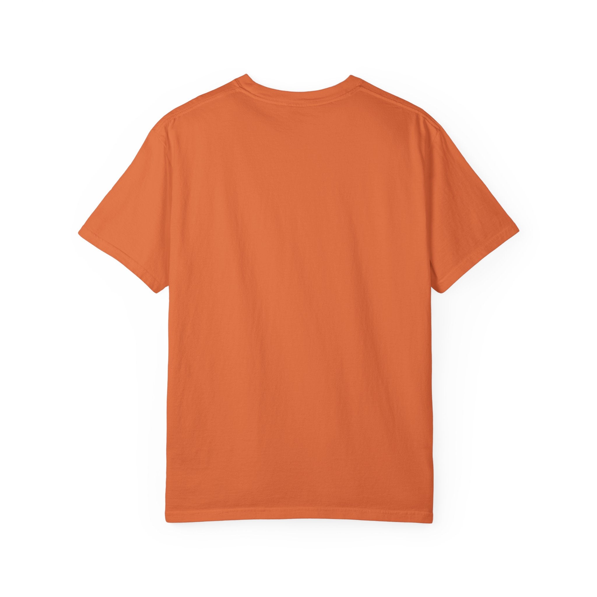 121.5 ELT Inspection Frequency T-Shirt