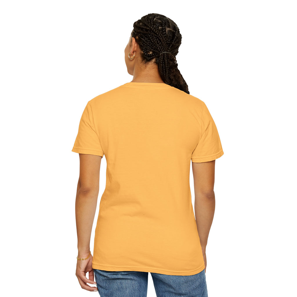 Aviate Navigate Communicate T-Shirt