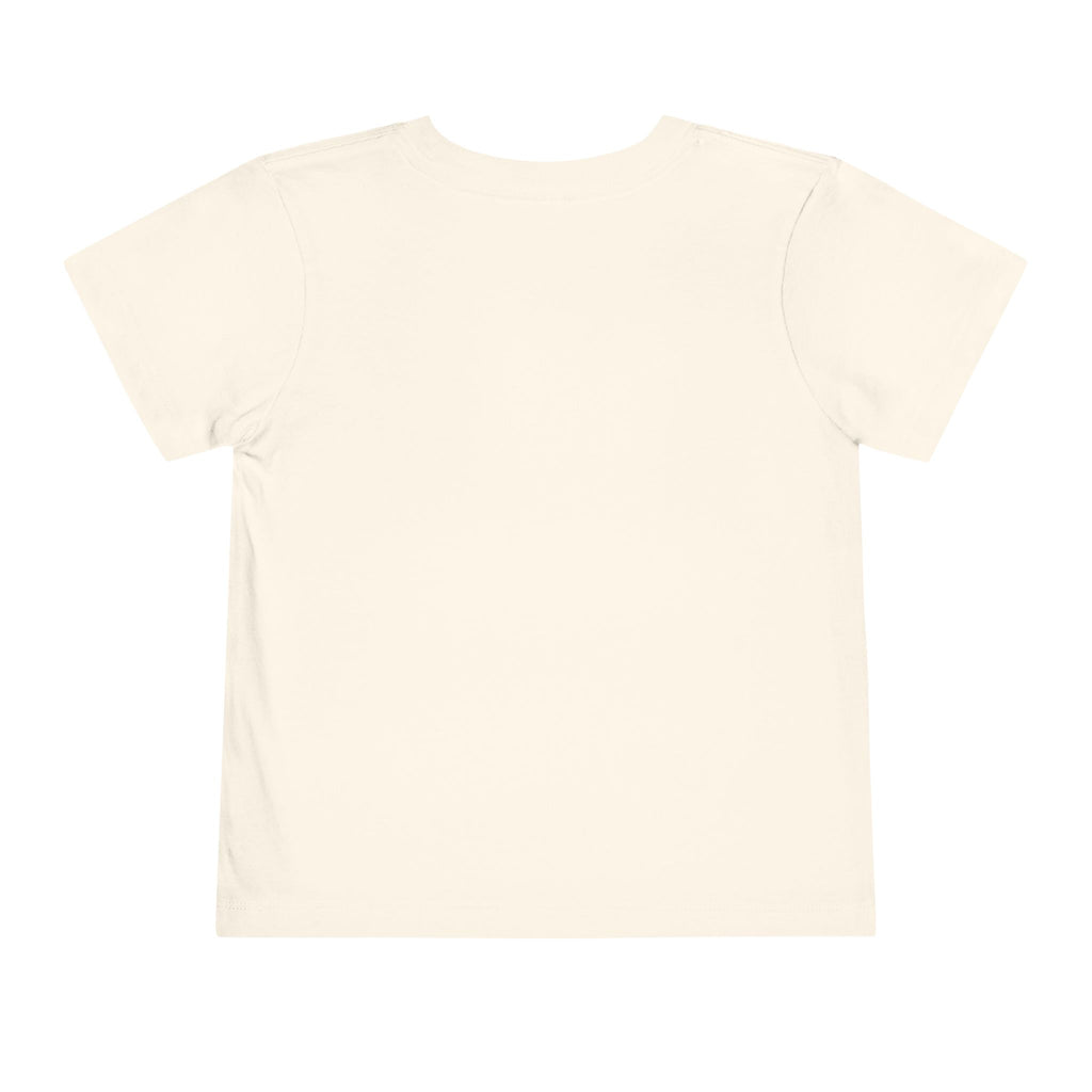 Toddler Tee — Mountain Airplane Design (custom name)