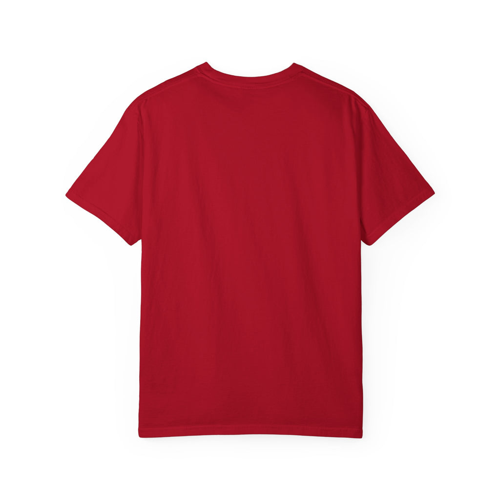 121.5 ELT Inspection Frequency T-Shirt