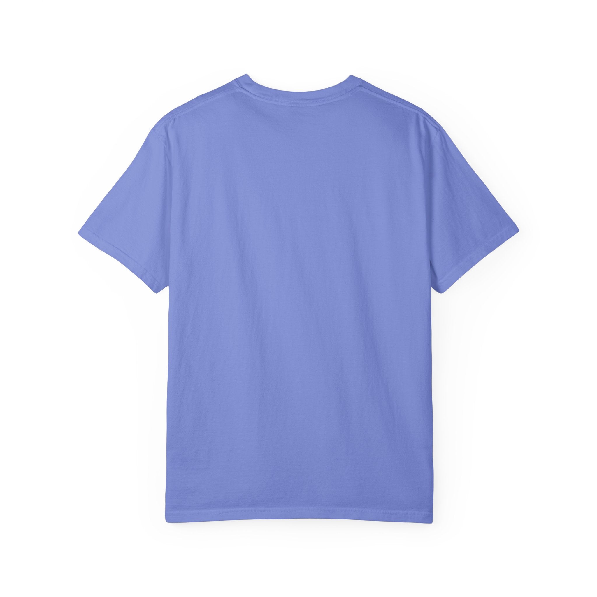 CFI Pay Structure T-Shirt — Pay / Sanity Max
