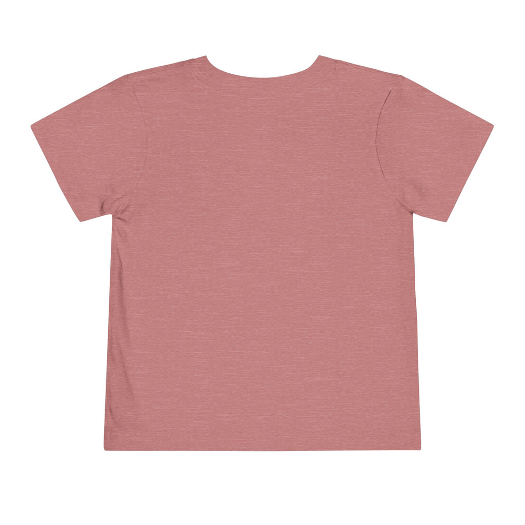 Toddler Tee — Mountain Airplane Design (custom name)