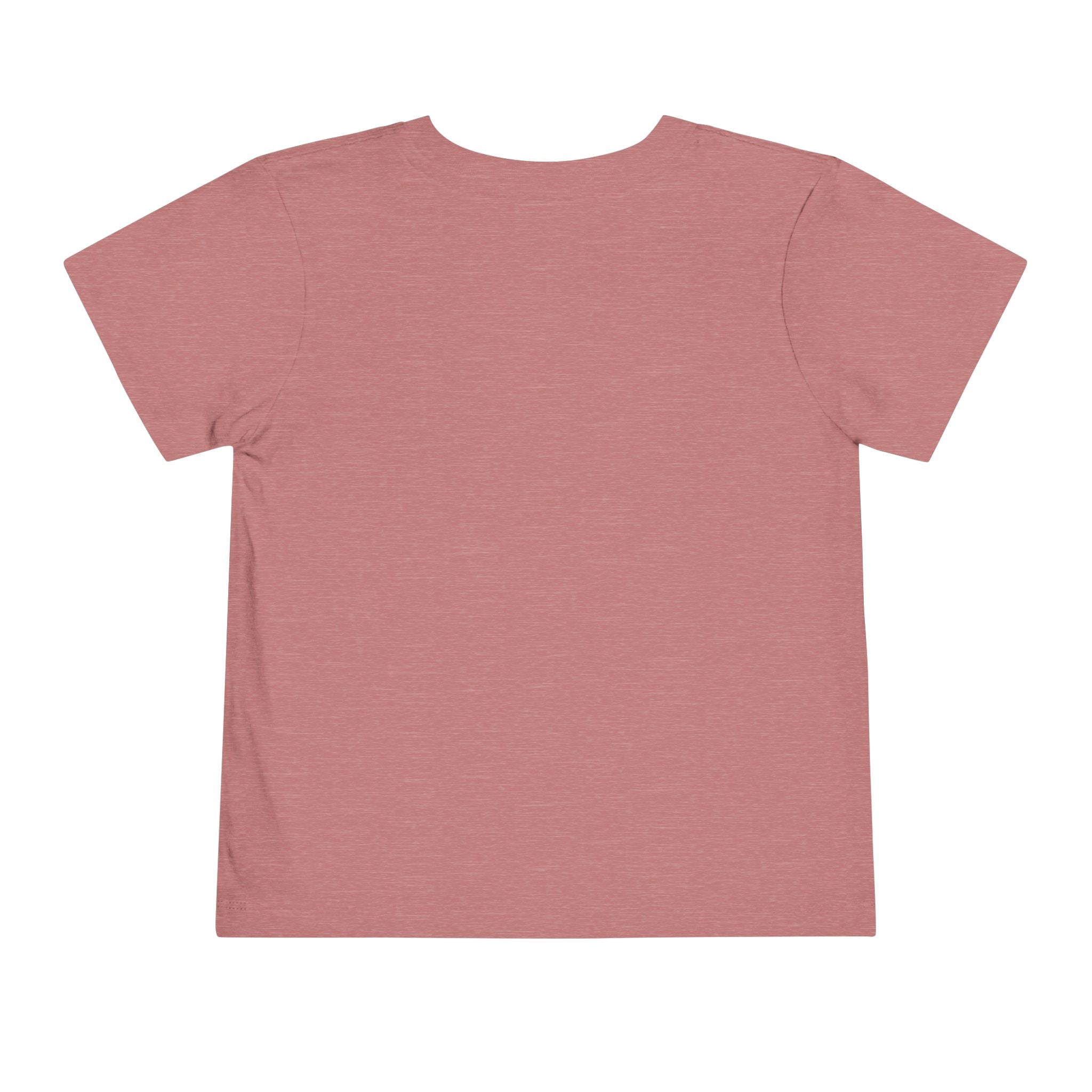 Toddler Tee — Mountain Airplane Design (custom name)