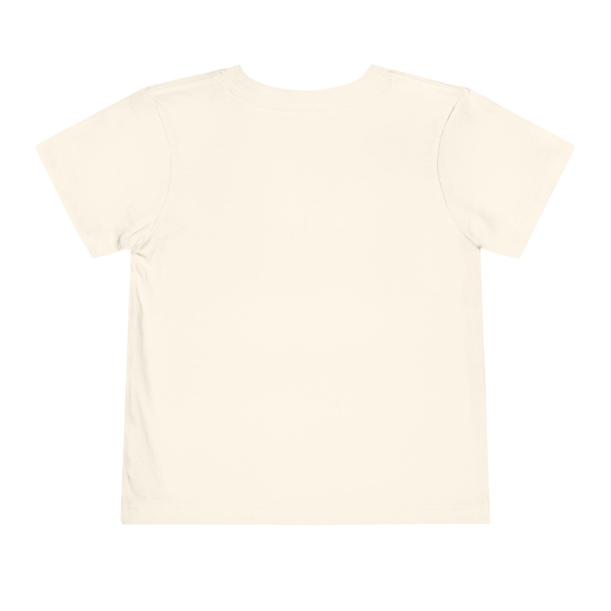 Toddler Tee — Mountain Plane Design (custom name)